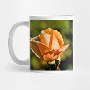 Peach Rose Bud Mug